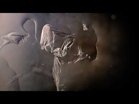 Dimitar Bodurov & Ivan Shopov - Graviton