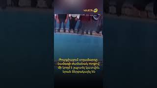 Թուրքիայում տղամարդը նամազի ժամանակ ոտքով մի կողմ է շպրտել կատվին․ նրան ձերբակալել են