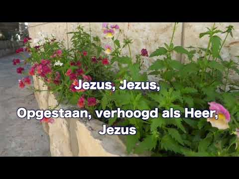 Opwekking 453 Jezus, heilige gezalfde Heer