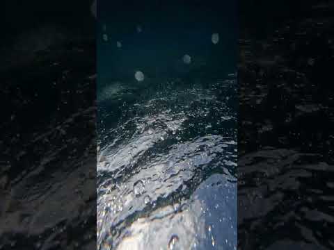 2025 La Jolla Cove Swim POV and Relaxing Sounds