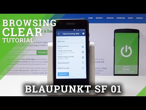 How to Clear Browsing Data in BLAUPUNKT SF 01 - Erase Saved Passwords