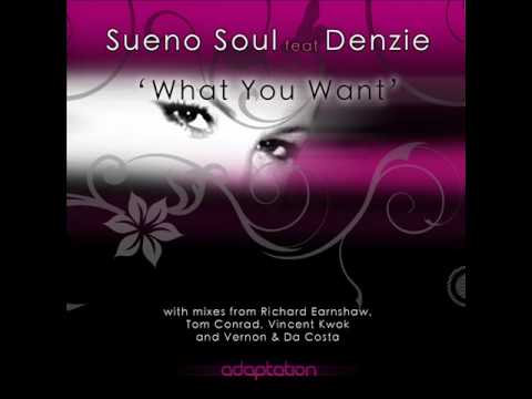AM003 Sueno Soul feat Denzie - What You Want (Tom Conrad Remix)