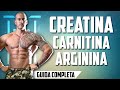 CREATINA, CARNITINA e ARGININA Pro e Contro Guida completa