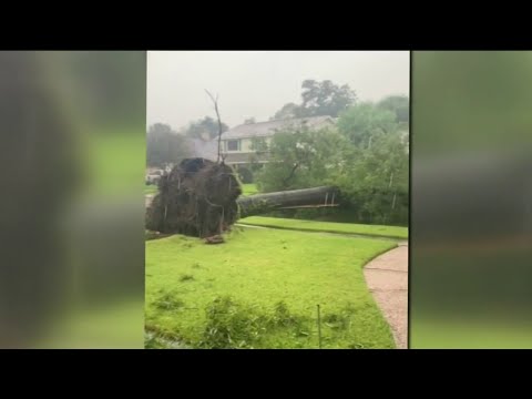 Storm cleanup: Cutting and removing downed trees