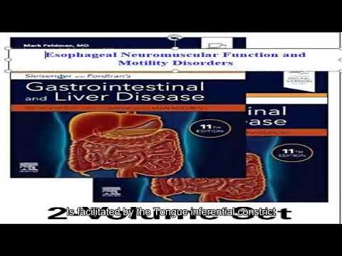 44-   Esophageal Neuromuscular Function and Motility (Phụ đề Anh)