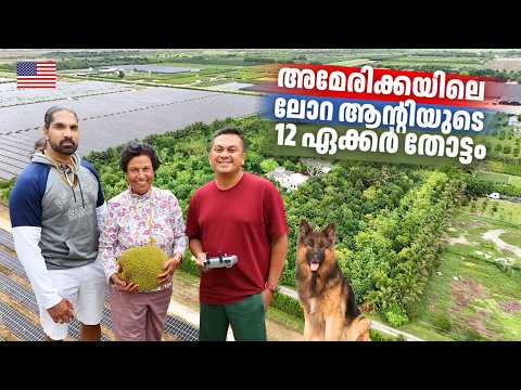 അമേരിക്കയിലെ ലോറ ആന്റിയുടെ കേരളം | A Malayali Woman Runs Miami’s Largest Organic Fruit Farm!🇺🇸