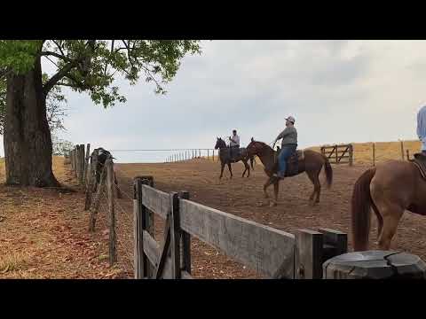 SOLTA #179 - LAÇANDO NO HILL FD {SOLTA FD - SETEMBRO DE 2022}