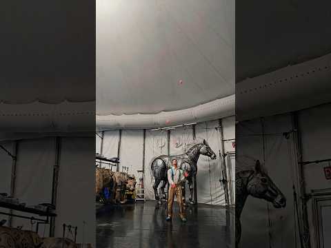 they really said: recording in peace? not a chance ✋ #LUZIA | Cirque du Soleil