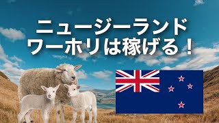 ニュージーランドのワーホリでお金を稼ぐ