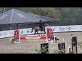 4 ans - Gros potentiel CSO - Chacco-white