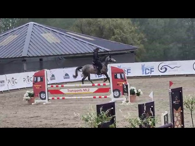 4 ans - Gros potentiel CSO - Chacco-white