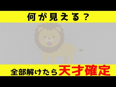 たった 3 つの質問: これは世界最速の IQ テストです – あなたは答えることができますか?