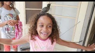 WILD BIRDS, WILD BATS, & the POLICE?!?