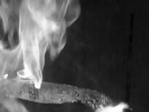 זאת חנוכה בשומרי אמונים. שריפת הפתילות.