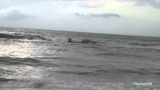 preview picture of video 'Edward Elliot's Beach Before Sunset - Chennai, India'