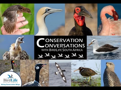 Conservation Conversations: Youth Day Panel discussion