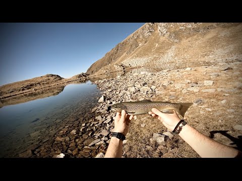 Una giornata fortunata