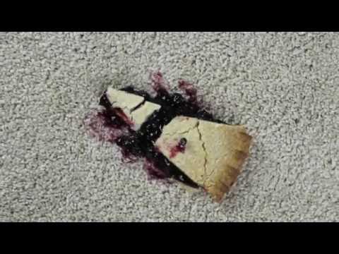 download lagu mp3 mp4 Getting Berry Stains Out Of Carpet, download lagu Getting Berry Stains Out Of Carpet gratis, unduh video klip Getting Berry Stains Out Of Carpet