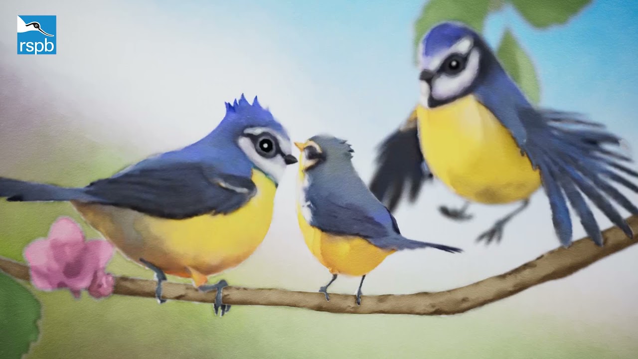 RSPB 'Time flies' Behind the Scenes - YouTube