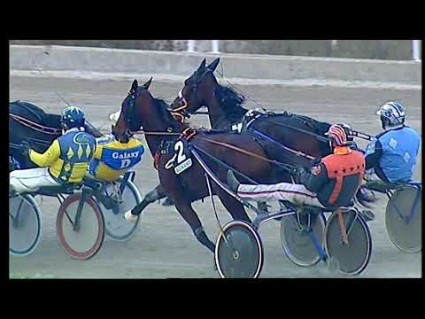 Napoli Trotto 12/11/2021 - 5ª corsa