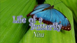 Cover art for Life of a Butterfly