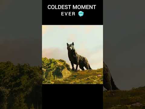 Fearless Dog🔥🔥