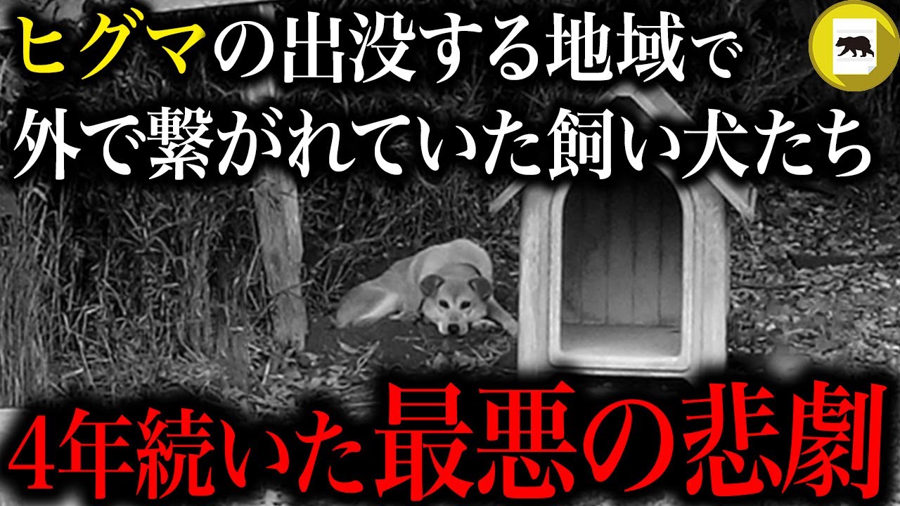 ヒグマの出没する地域で、外で繋がれていた飼い犬たち…。4年間も続いた最悪の悲劇「犬食い熊・RT襲撃事件」
