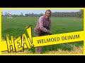 HEA! Welmoed, de vloggende boerin