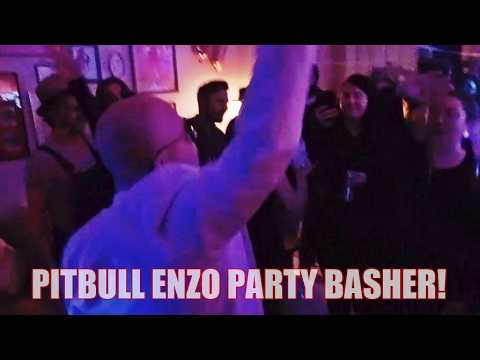 Promotional video thumbnail 7 for Pitbull Tribute • Elvis Tribute • Ultimate Party Experience