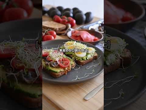 トマトを雨から守る方法 避難所を作るDIYアイデア