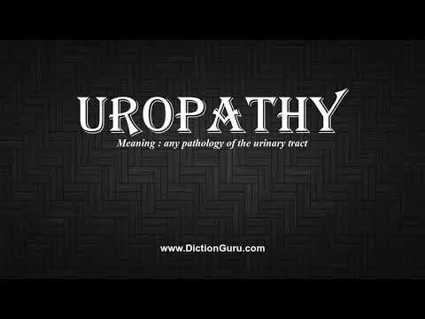 How to Pronounce uropathy with Meaning, Phonetic, Synonyms and Sentence Examples