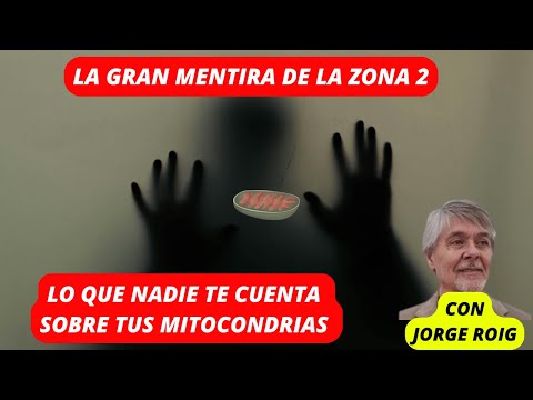 Zona 2 y mitocondrias: LA VERDAD INCÓMODA que NO TE CUENTAN en los podcasts, con JORGE ROIG
