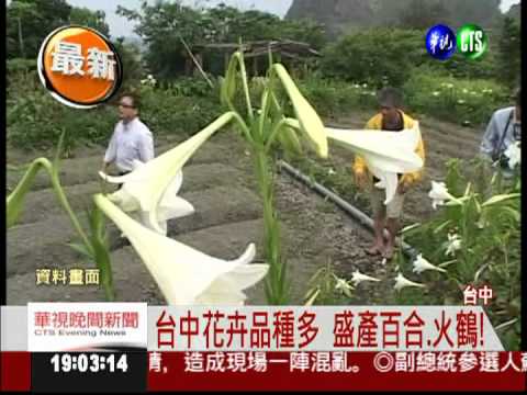 花海節成功 胡志強爭辦2018花博