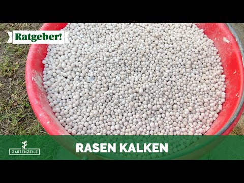 Rasen richtig kalken! Zeitpunkt, Menge, Ausbringung und co! Das gibt es zu beachten!