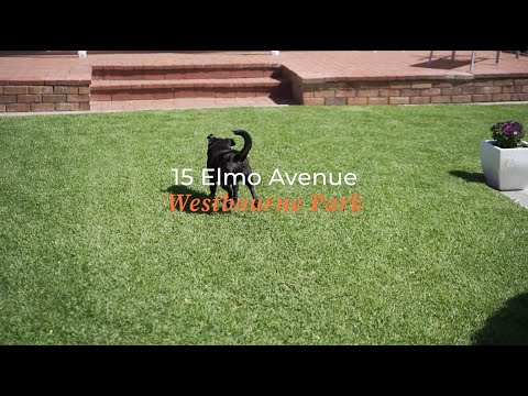 15 Elmo Avenue, Westbourne Park, SA 5041, 4 phòng ngủ, 2 phòng tắm, House