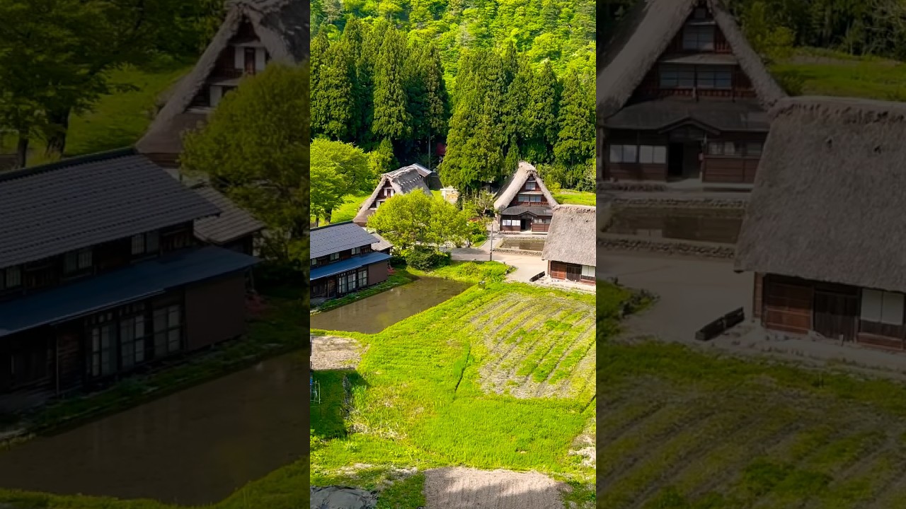 YouTube Short thumbnail