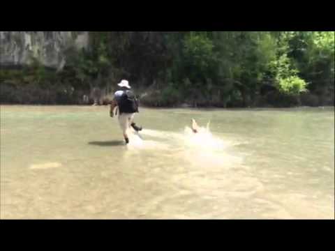 Success Story: Bibiana and Lula