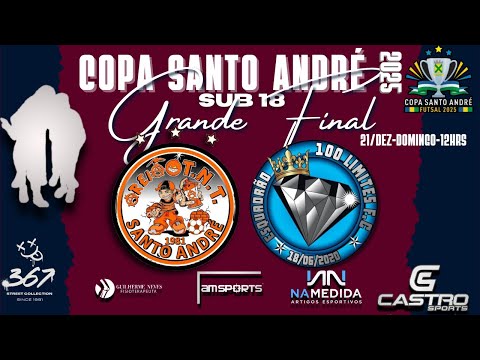 COPA SANTO ANDRÉ 2025 ( AREIÃO/TAMOYO X 100 LIMITES ) GRANDE FINAL - SUB 18 - FUTSAL 2025