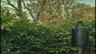 1 hour of random interval beeps sound audio