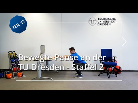Bewegte Pause an der TU Dresden – Teil 17: Acht effektive Übungen am Schreibtisch