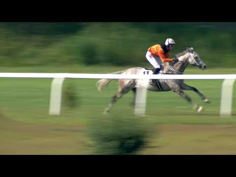 8. 8. 2020 - 7. dostih - Cena TIPSPORTU