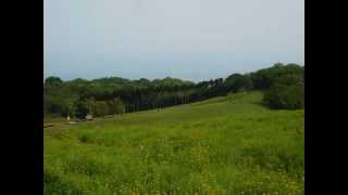 Danny Boy (Londonderry Air) ： arr.Keith Jarrett