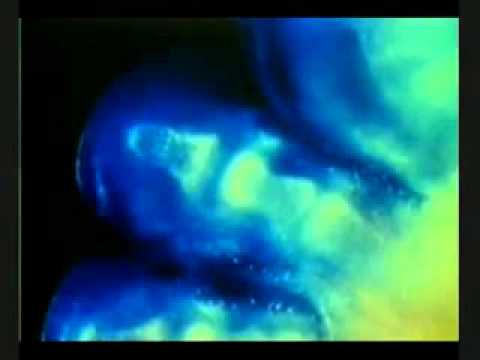 Mrekullia e krijimit të njeriut pjesa5   ALL LLAHU EHAD