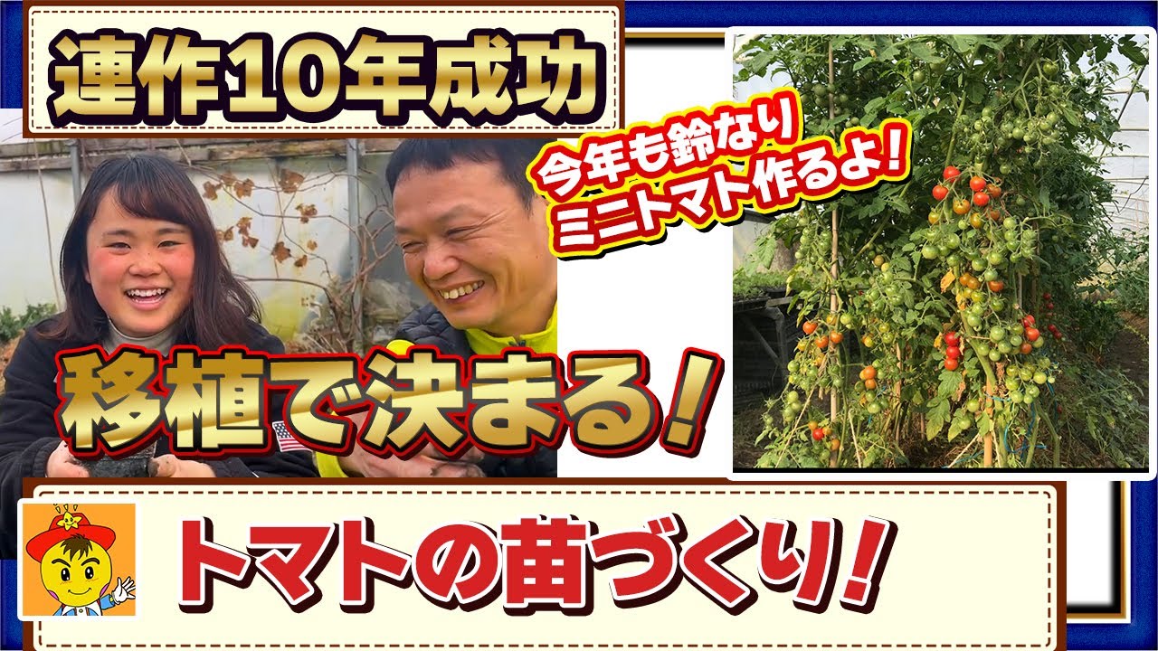 徒長苗の復活法とポット育苗のコツ