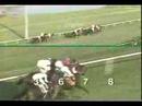 Cigar: 4th start - June 12, 1993 - Allowance