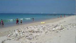 preview picture of video 'Playa Punta Negra, Puerto Vallarta, Jalisco, Mexico; HD'