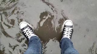 She Wants Revenge - I Don&#39;t Want To Fall In Love (Live)