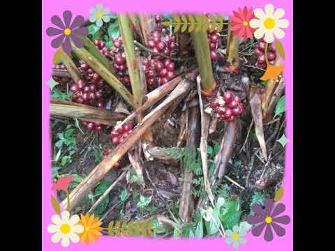 30 tháng 8, 2019(5)