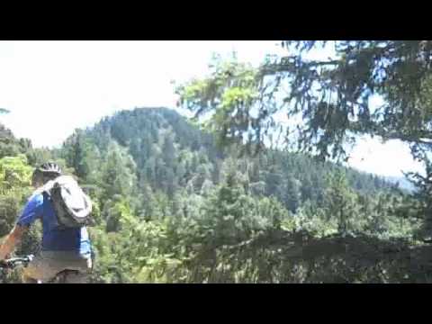 image-What is the tide for Shelter Cove California?