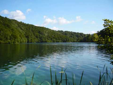 This is Kevin - Šuhajko